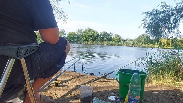 Сазаны дуреют ...  27 июля Рыбалка Краснодарский край