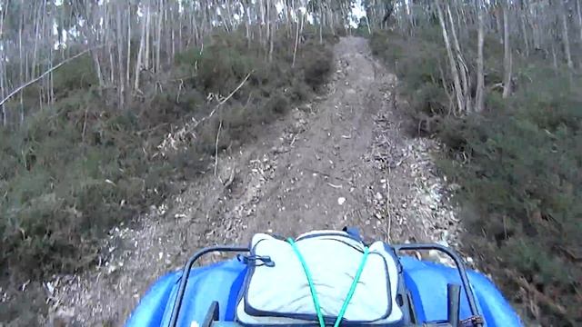 Yamaha Grizzly 700 Hill Climb смотреть онлайн