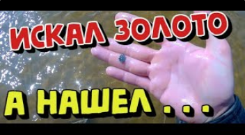 Приехал на пляж за ЗОЛОТОМ а нашёл ЧЕШУЮ . Поиск с металлоискателем . КОП