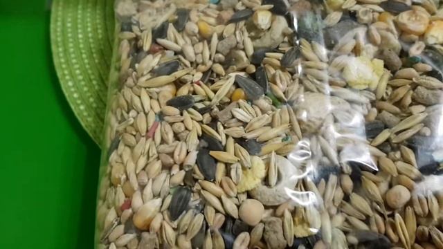 Что будут кушать наши крысы Обзор Корма смотреть онлайн