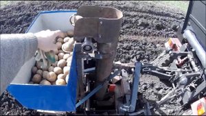 Первые испытания самодельной картофелесажалки для минитрактора