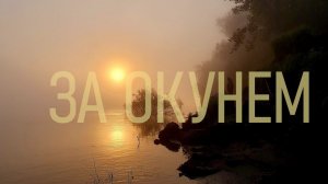 МИКРОДЖИГ.  КАПРИЗНЫЙ ОКУНЬ НА СТРЕЛКЕ