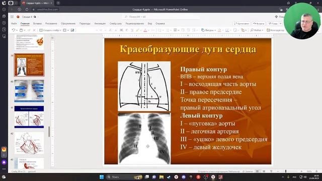 3D Анатомия для студентов. Проводящая система сердца. Кровоснабжение сердца.