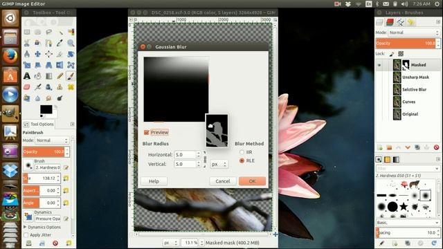Kookaburra develop and Masking in Gimp 2.8 смотреть онлайн