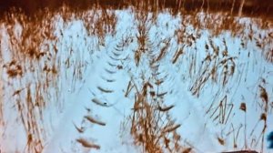 Комплекс поисково-эвакуационных машин.mp4