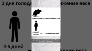 Сколько голодать для достижения аутофагии?