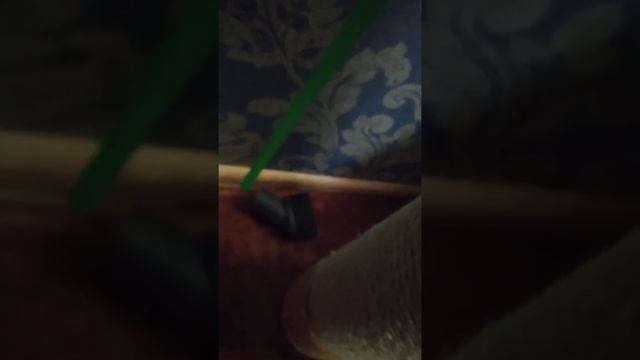 //Дом Киньки и Симбы// Симба облизывает мой палец😂. У животных теперь есть замок🥰🐾. смотреть онлайн