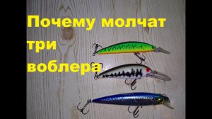 Ответы подписчикам Почему молчат три воблера