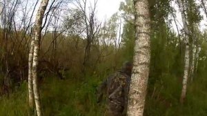 Болота около посёлка Рязановский