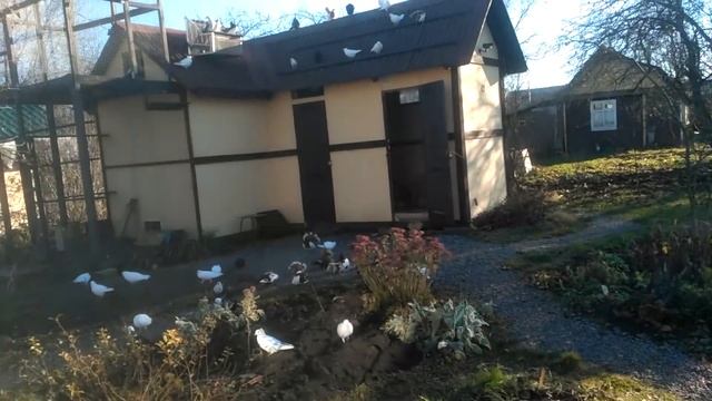 В День народного единства - небольшой обзор смотреть онлайн