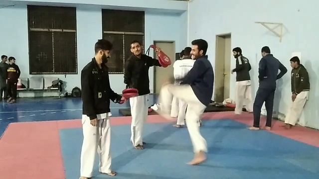 live training . national taekwondokarate online mixmartialart