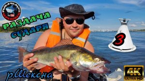 Судак на троллинг в 4"К" на р.Шексна в Июле 2022г.Раздача СУДАРЯ!!!3-ий выпуск!!!МЕЛОЧЬ НЕ БЕРЁМ