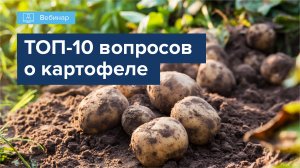 ВЕБИНАР "ТОП-10 ВОПРОСОВ В МИНЕРАЛЬНОМ ПИТАНИИ КАРТОФЕЛЯ"