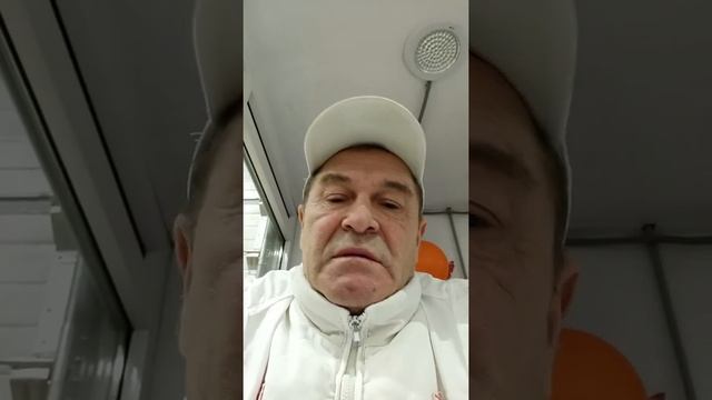 огурцы