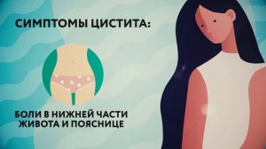 Цистит «Это должен знать каждый»