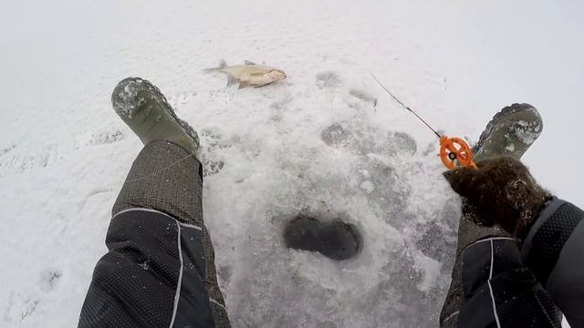 НЕ ЛЕЗЕТ В ЛУНКУ ! ВОТ ЭТО УЛОВ ! Волшебный чёртик и клёвая зимняя рыбалка на безмотылку СИБИРИЯ смотреть онлайн
