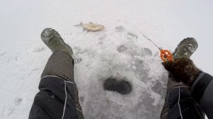 НЕ ЛЕЗЕТ В ЛУНКУ ! ВОТ ЭТО УЛОВ ! Волшебный чёртик и клёвая зимняя рыбалка на безмотылку СИБИРИЯ