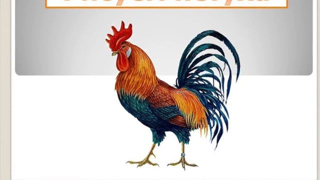 Оригами и рисование. Ким Р.В. смотреть онлайн