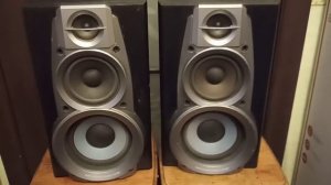Technics SB-DV290 акустика