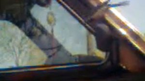 Я ЛЬ НА СВЕТЕ ВСЕХ МИЛЕЕ...