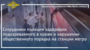 Сотрудники полиции задержали подозреваемого в краже и нарушении общественного порядка в метро