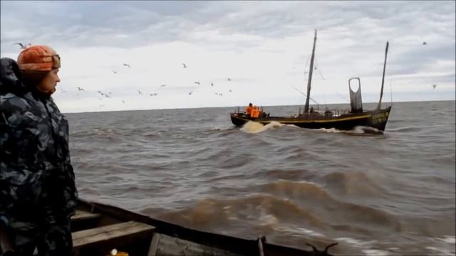 Озеро Ильмень. Дорога к дому