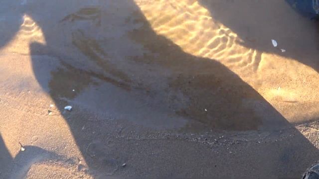 Лайтовая рыбалка в черте города Волжский