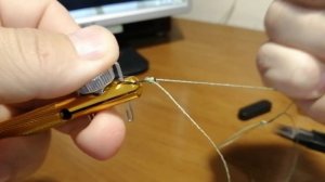 Китайский крючковяз.