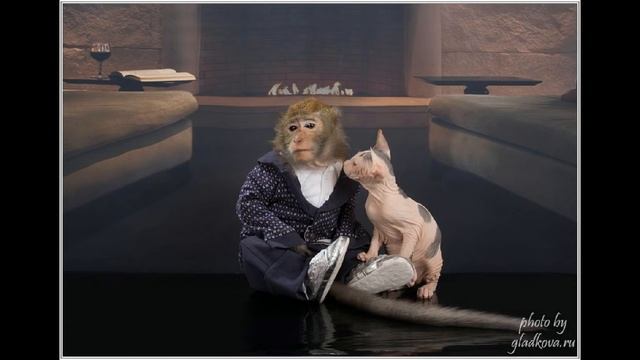 "звёзды" в образе))) смотреть онлайн