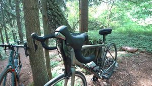 Сравниваем гравийник и шоссейник. Trek Chekpoint AL 4 VS Trek Domane AL 4