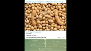 Відеоперегляд ціни на зерно з Telegram групи «Agro Buy Sell: grain» https://t.me/agrobuyeruaz | #2