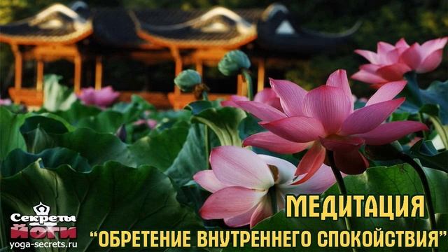 ИСЦЕЛЯЮЩАЯ #МЕДИТАЦИЯ Для Обретения Гармонии И Внутреннего Спокойствия Отдых Для Души смотреть онлайн