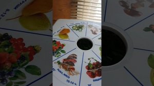 Обзор на электросушилка бытовая Ротор Дива плюс