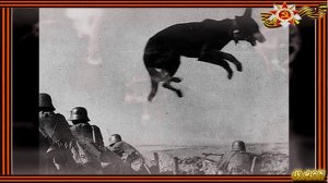 3.03.Елена Хайленко.Бой под Легедзино. 1280х720p 320 kbps