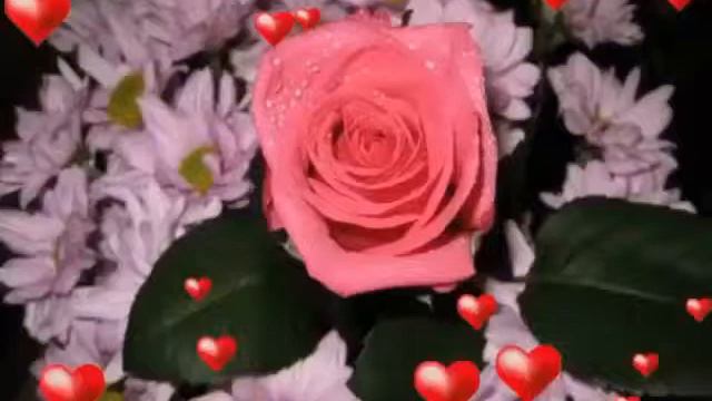 23 марта 2019 г. смотреть онлайн