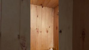Баня с комнатой отдыха, удачное решение.