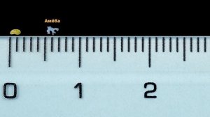 Можно ли увидеть микробов без микроскопа?