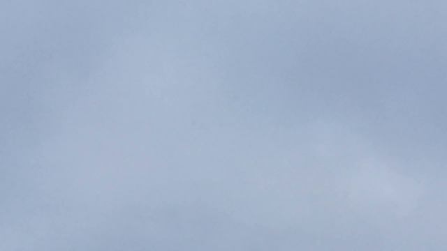 Полет голубей 26.12.2016 смотреть онлайн