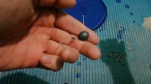 Как оснастить жерлицы. Самый простой и уловистый монтаж.