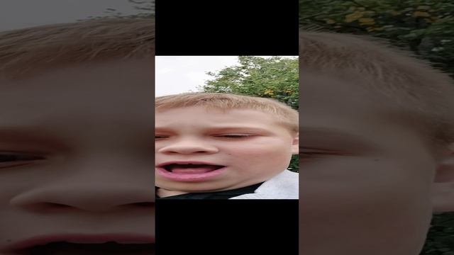 айкидо