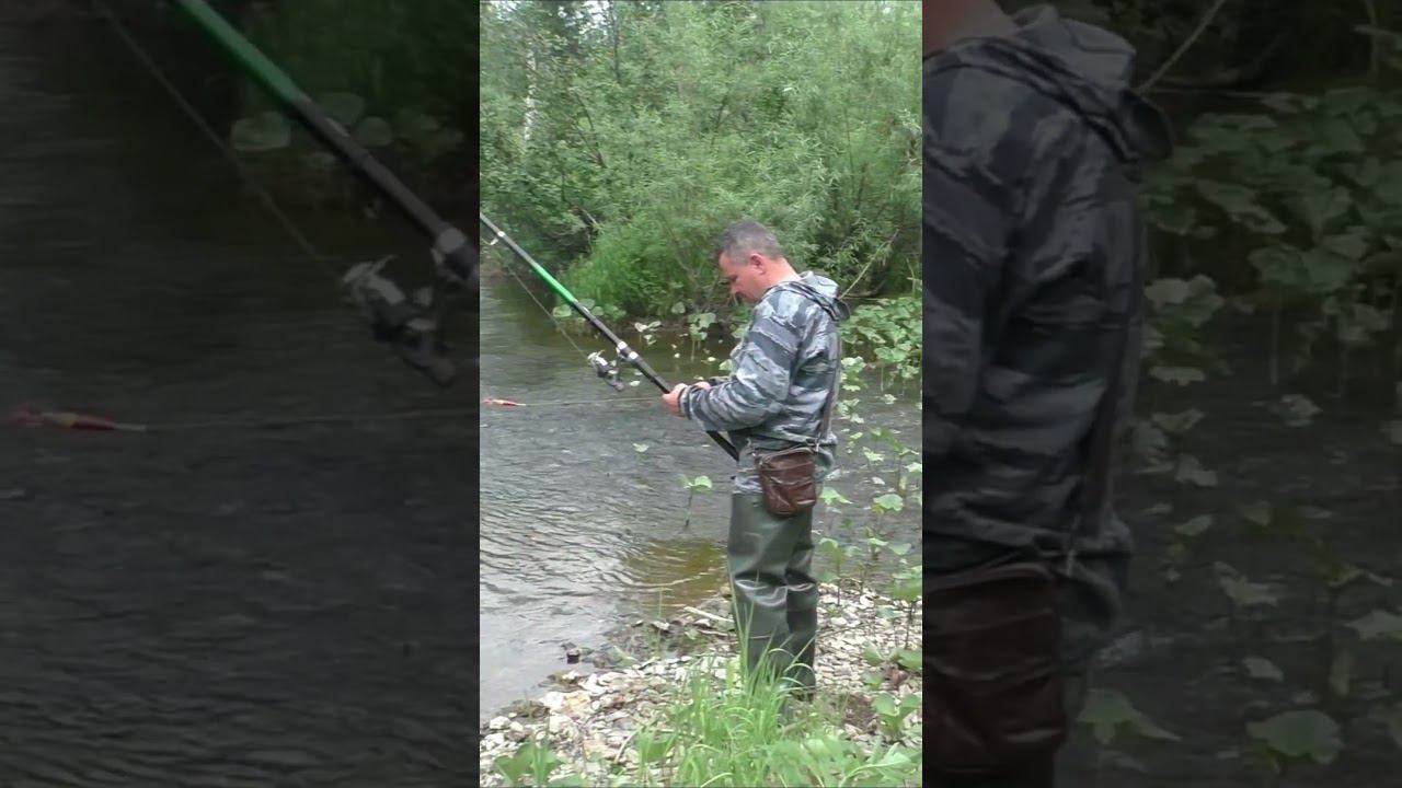 1064,1070 Красота РЕКА ТАЙГА выше устья 500 по 900 метров #дмитрийяков #рыбалка #тайга #выживалово