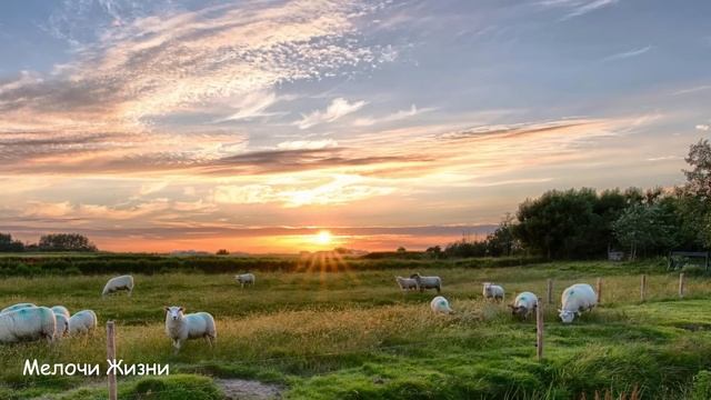 Свекровь промывала своему сыну мозг, жена решила ее проучить... смотреть онлайн