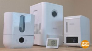 Мойка воздуха. Доброе утро. Фрагмент выпуска от 14.10.2021