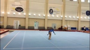 2 спортивный разряд. Соревнования по спортивной гимнастике. Обязательная программа.