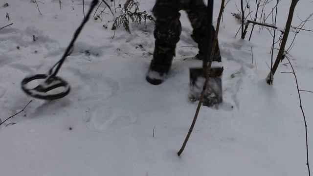 Я ВЕРНУЛСЯ ЗА ШИКАРНЫМИ МОНЕТАМИ И БОЯРСКОЙ ПУГОЙ В ЗИМНИЙ ЛЕС С СОБАКАМИ !!! КОП С МЕТАЛЛОИСКАТЕЛЕ