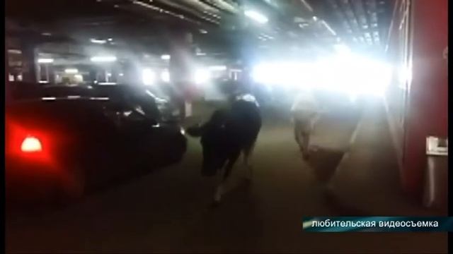 Коровы в Сити Молле смотреть онлайн