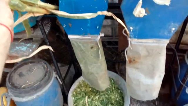 Измельчение стеблей кукурузы
