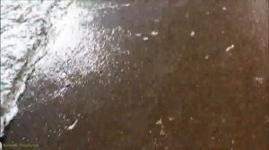 Новый Свет Игорь Дудин .mp4