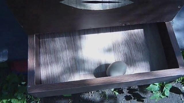Гнездо для кур с яйцесборником сделать самому видео