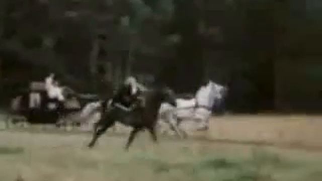 Анастасия_Гардемарины, вперед!